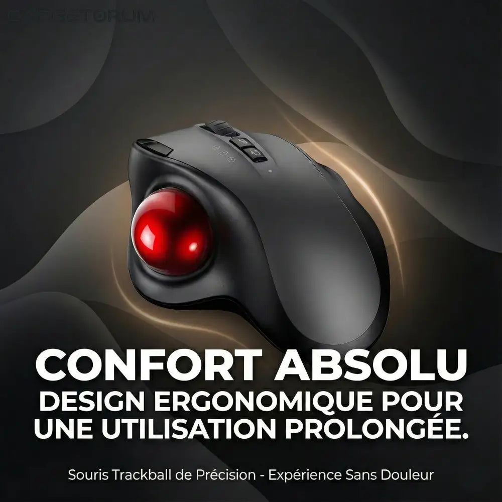 Souris Trackball Ergonomique Sans Fil: Anti-Douleur Poignet & Canal Carpien