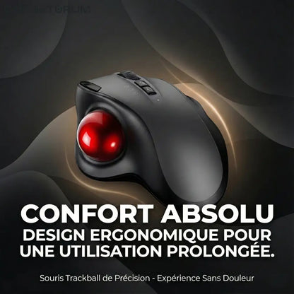 Souris Trackball Ergonomique Sans Fil: Anti-Douleur Poignet & Canal Carpien